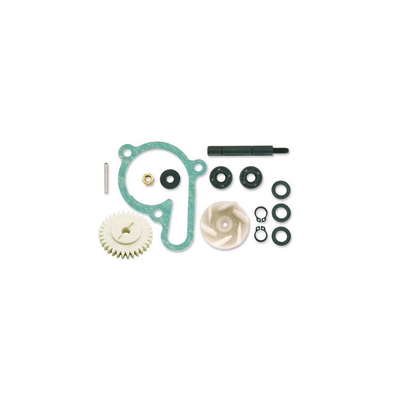 Waterpomp reparatie kit Vicma 11420 uitverkoop