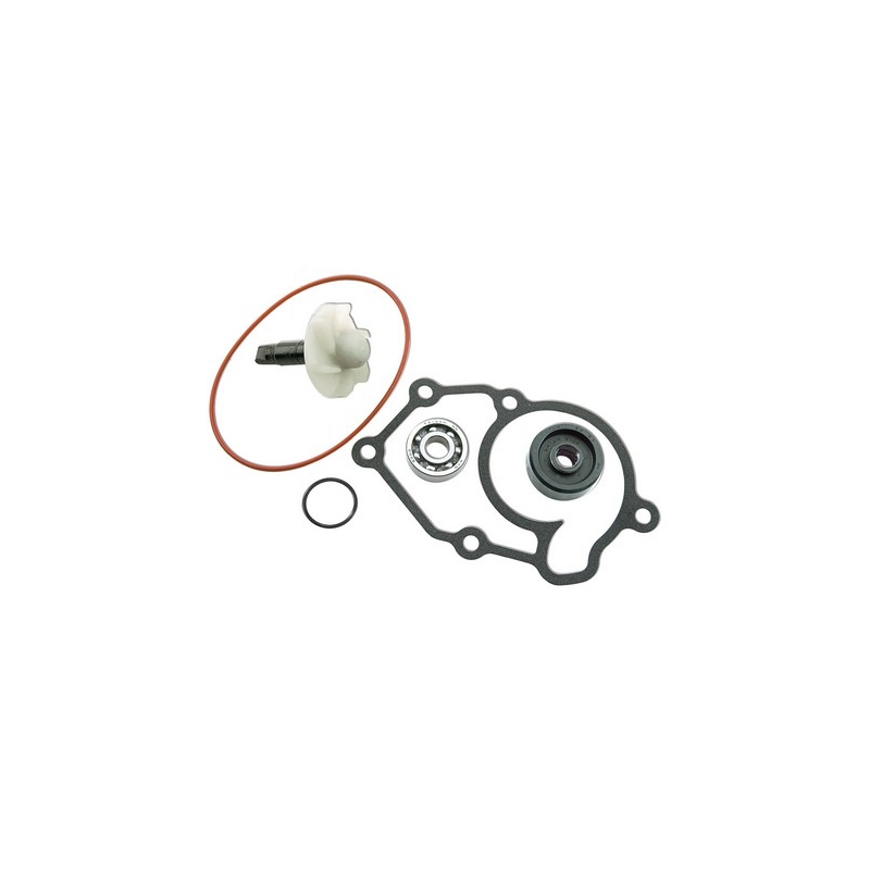 Vicma 13978 waterpomp reparatieset