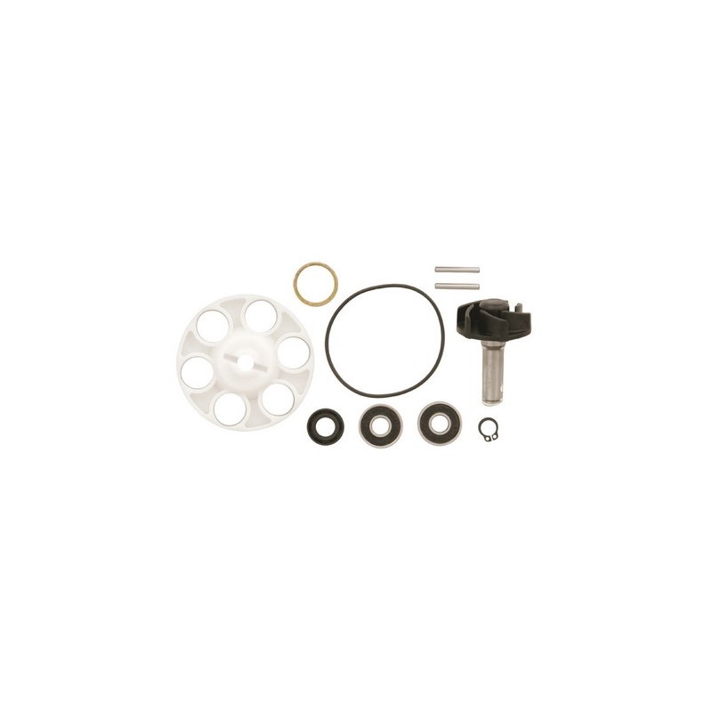 Reparatieset voor de Vicma 6215 waterpomp
