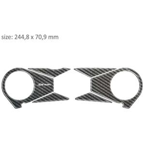 Carbonbril met opdruk - Kawasaki ZX 10R (06-10) uitverkoop