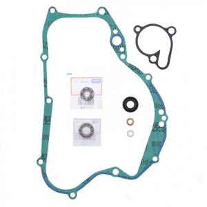 Těsnění vodní pumpy sada ATHENA with bearings