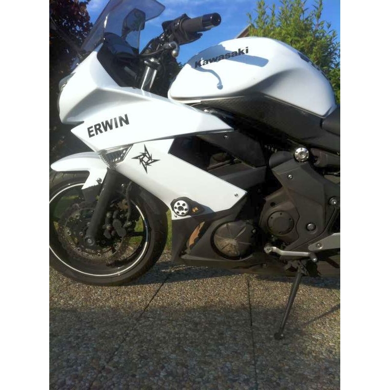 Kawasaki ER-6F (08-12) Pijl