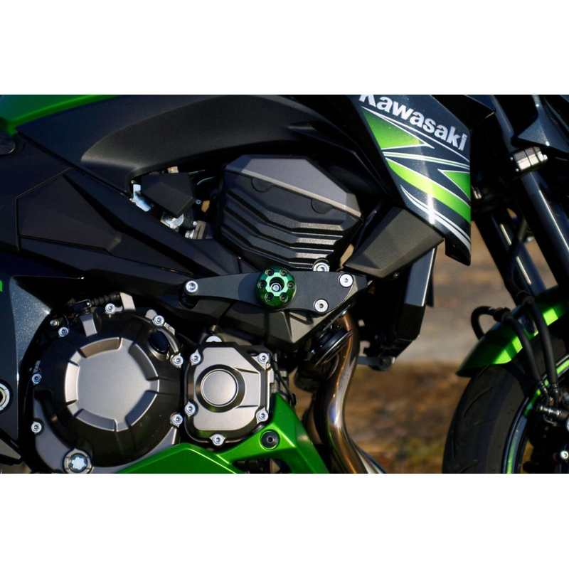 Kawasaki Z-800 (13-) Pijl