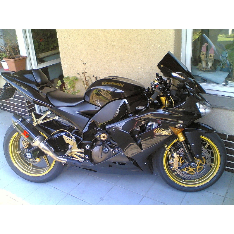 Kawasaki ZX-10R (04-05) Pijl