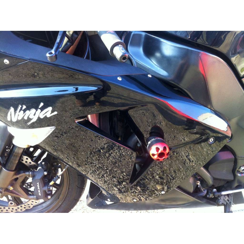 Kawasaki ZX-10R (06-07) Pijl