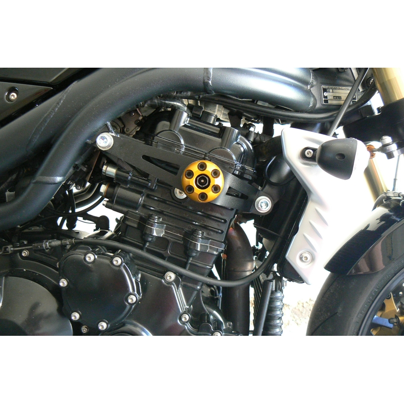 Triumph SPEED TRIPLE 1050 (05-10) Klassieker