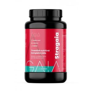 Instant voedsel GAIA Stragaia 1 kg aardbei