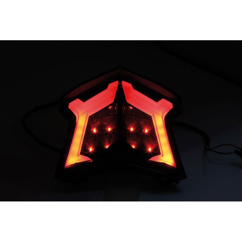Highsider Smart LED-achterlicht voor Kawasaki Z 900, Z 650, Ninja 650 motorfietsen, Bj. 17-