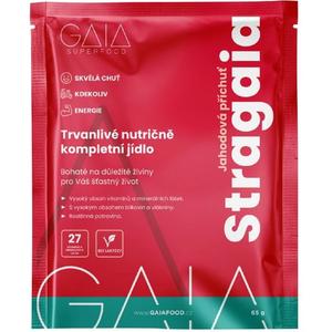 Instant voedsel GAIA Stragaia 1x65 g aardbei