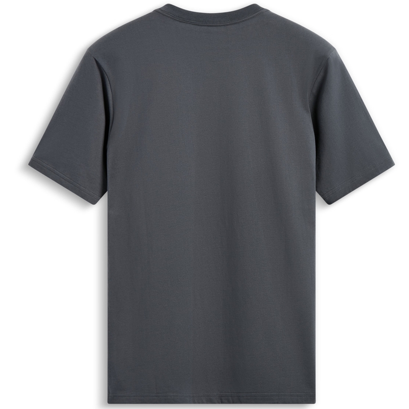 Alpinestars Waving Patch CSF grijs t-shirt