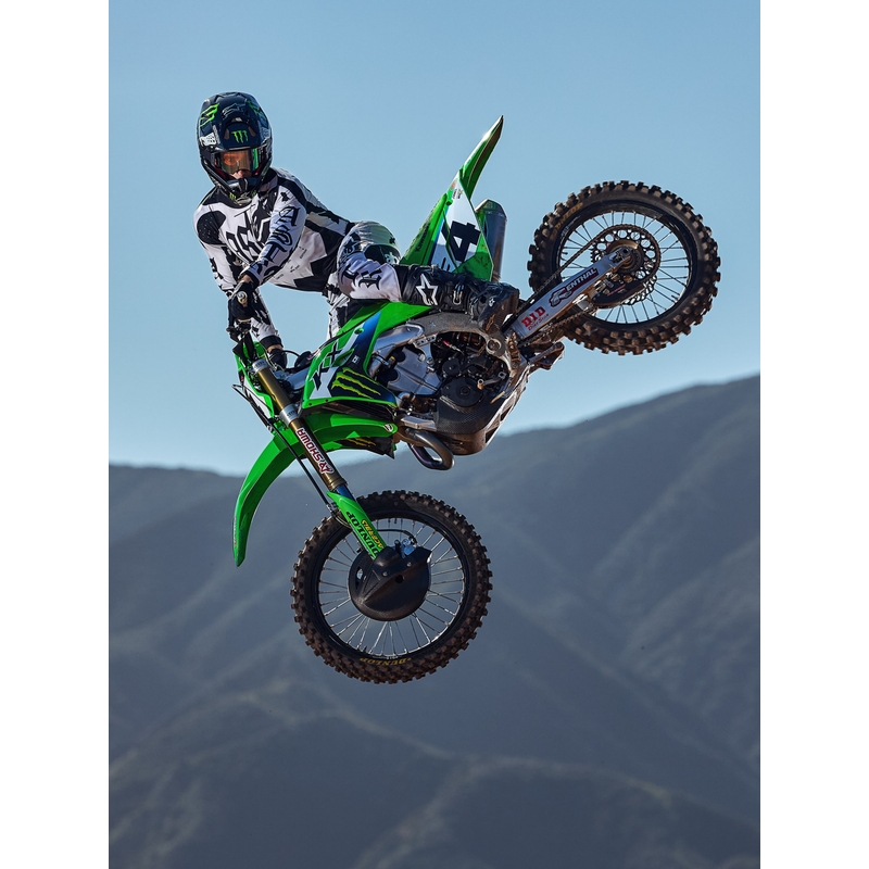 Alpinestars Techstar limited edition Wolf Dust motorcrossbroek zandzwart