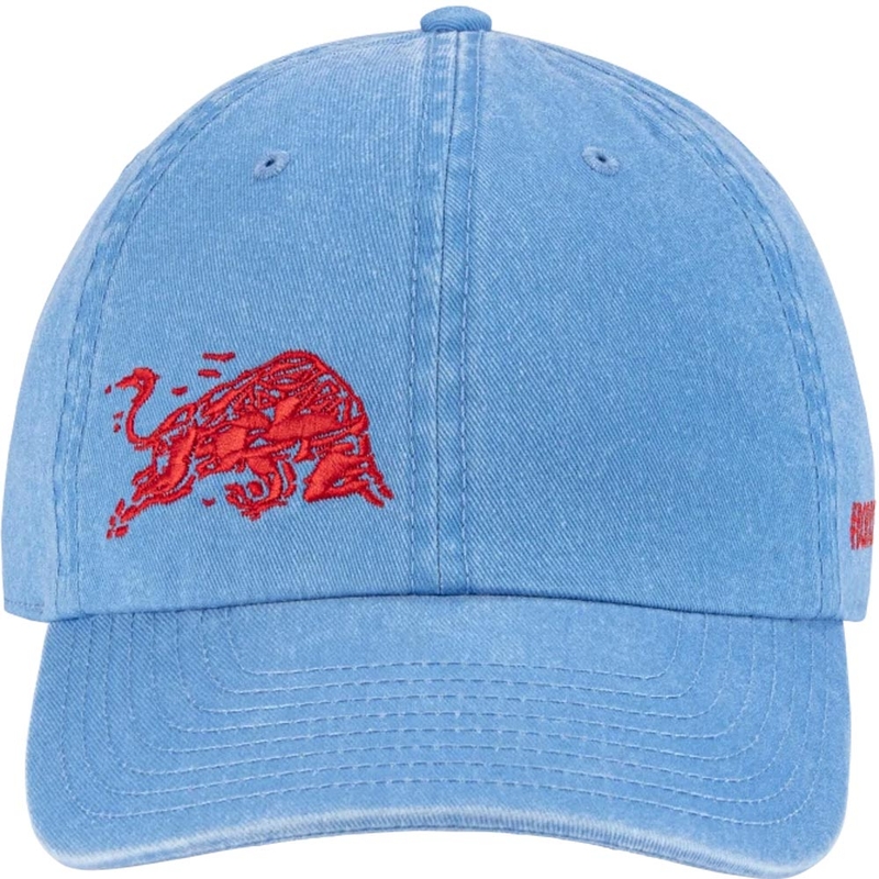 Red Bull Racing racepet blauw