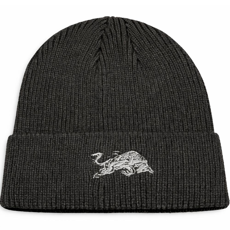 Red Bull Racing Paddock Beanie zwart