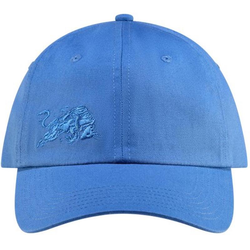 Red Bull Racing Core Cap blauw