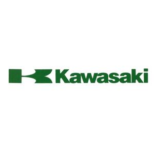 Kawasaki sticker groen