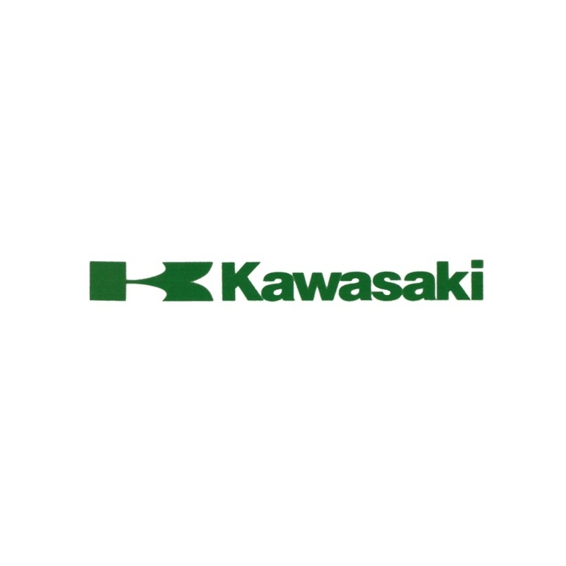 Kawasaki sticker groen